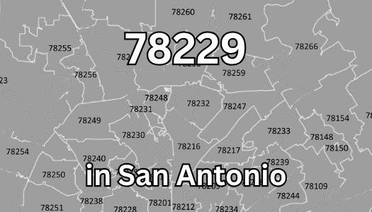 Real Estate in 78229