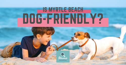 are dogs allowed on boardwalk in myrtle beach