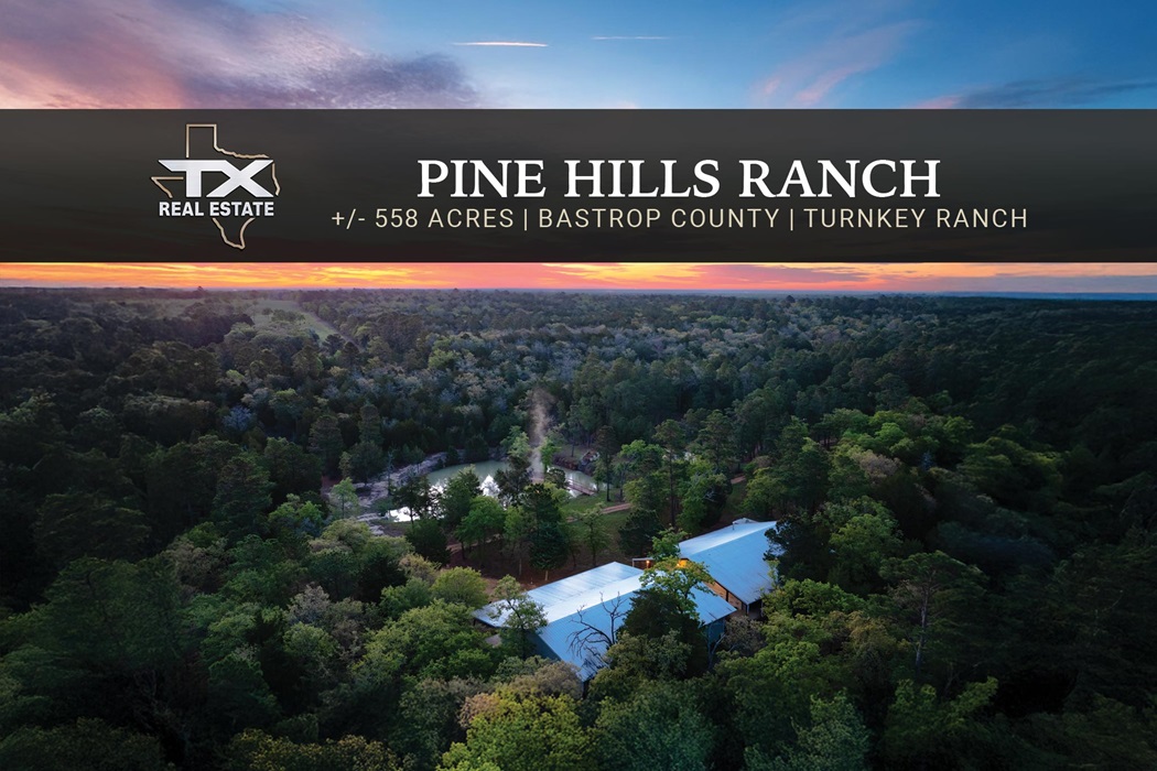 558-Acre Ranch For Sale | Pine Hills Ranch | TX Real Estate