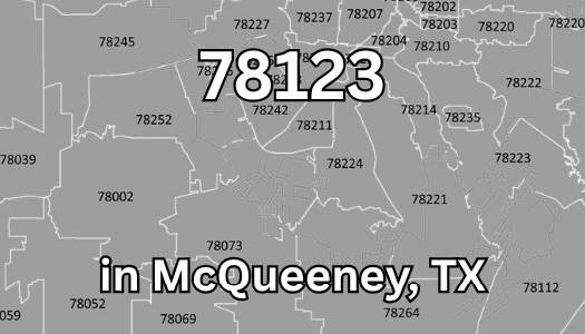 Real Estate in 78123