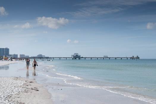 Condos In Clearwater Fla