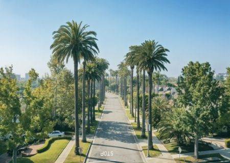 View of Beverly Hills Luxury Rentals and Leases- Beverly Hills Luxury Rentals